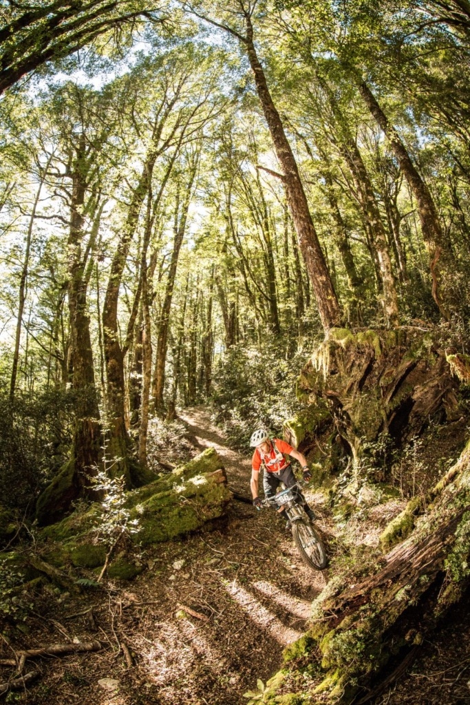 Mountain Biking in Marlborough