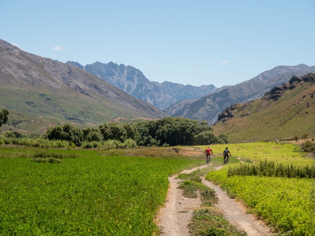 Mountain Biking in Marlborough