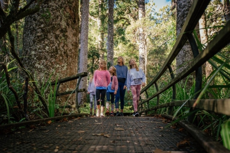 10 Things to Do in the Bay of Islands with Kids