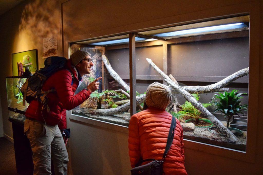 The Guide to Whangarei on a Budget