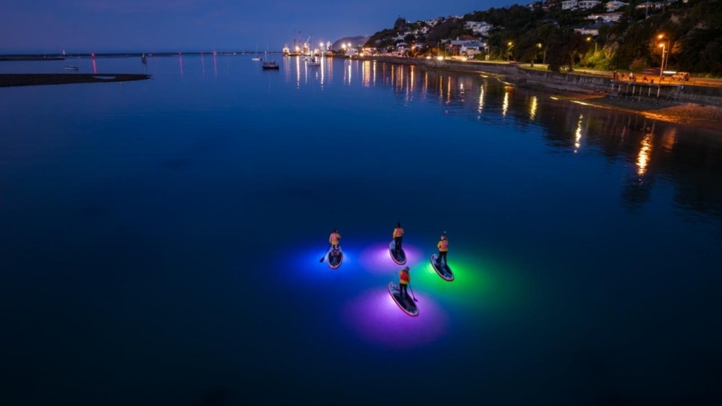 17 Best Things to Do in Nelson