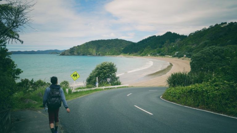 The Guide to the Bay of Islands on a Budget