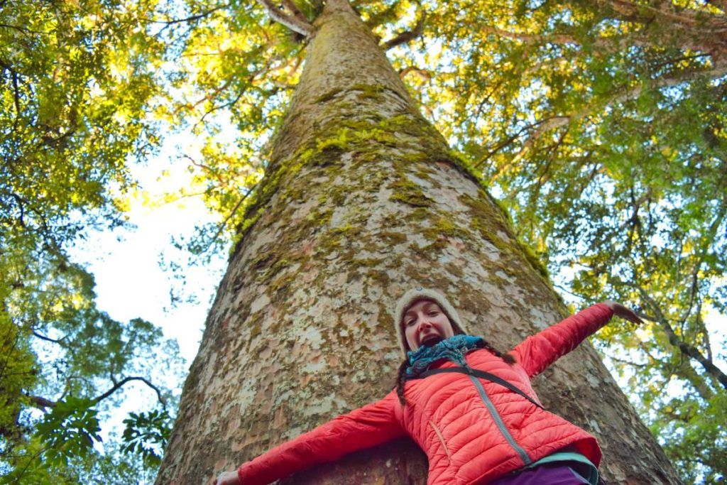 10 Free & Cheap Things to Do in the Bay of Islands