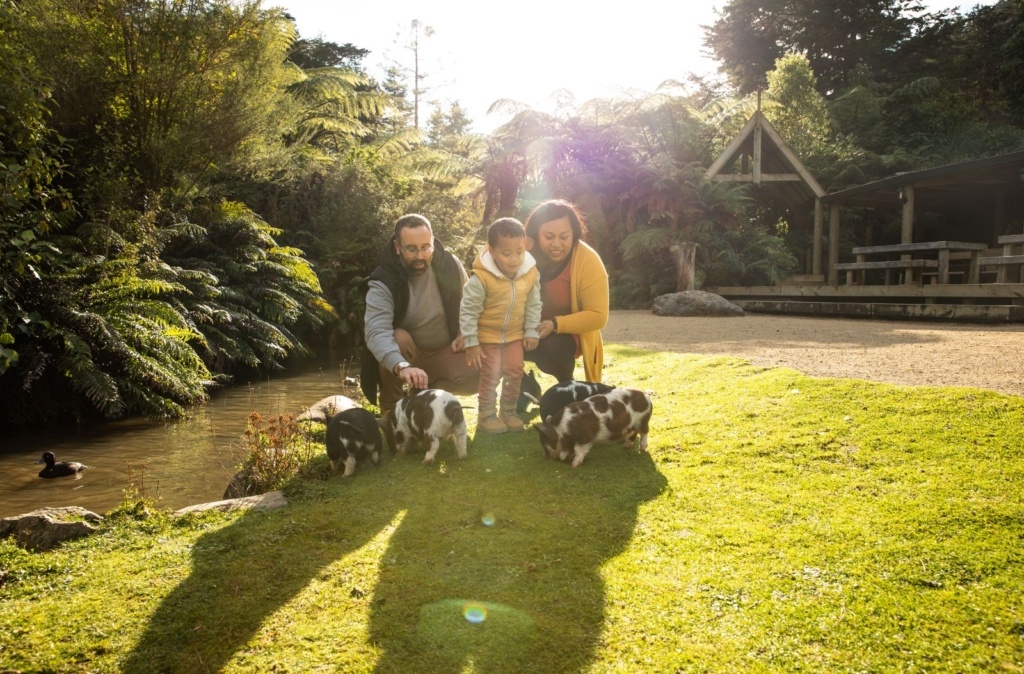 11 Best Things to Do in the Hutt Valley