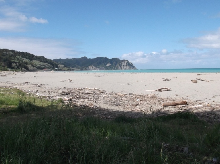 9 Best Walks on the East Coast & Pacific Coast Highway