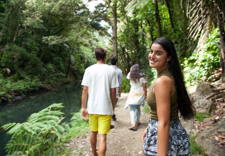 The Guide to Whangarei for Families