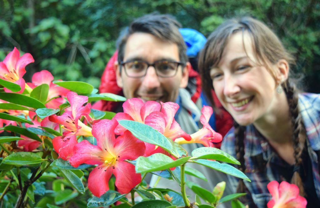 10 Romantic Activities in Whangarei for Couples