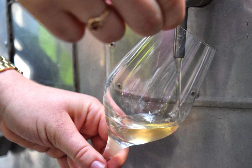 9 Things to Do in Whangarei for Foodies