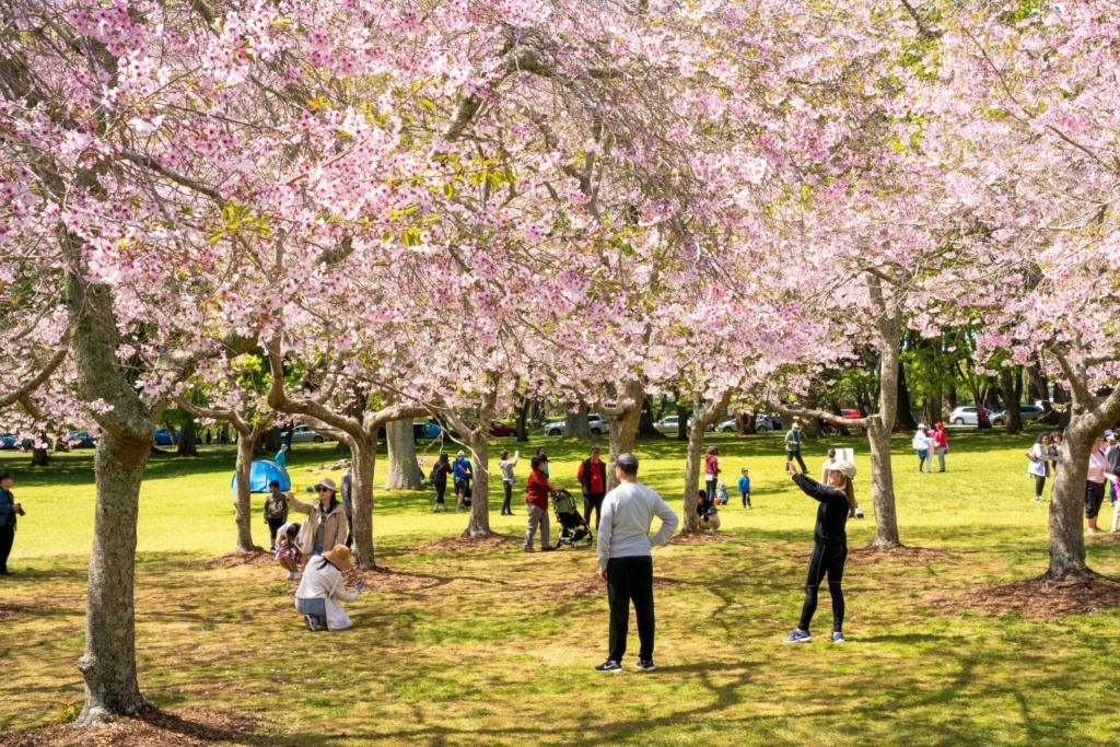 Top 10 Natural Attractions in Auckland