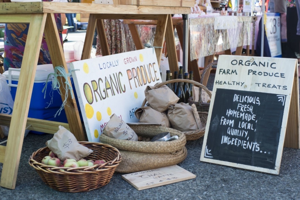 10 Best Things to Do in Motueka