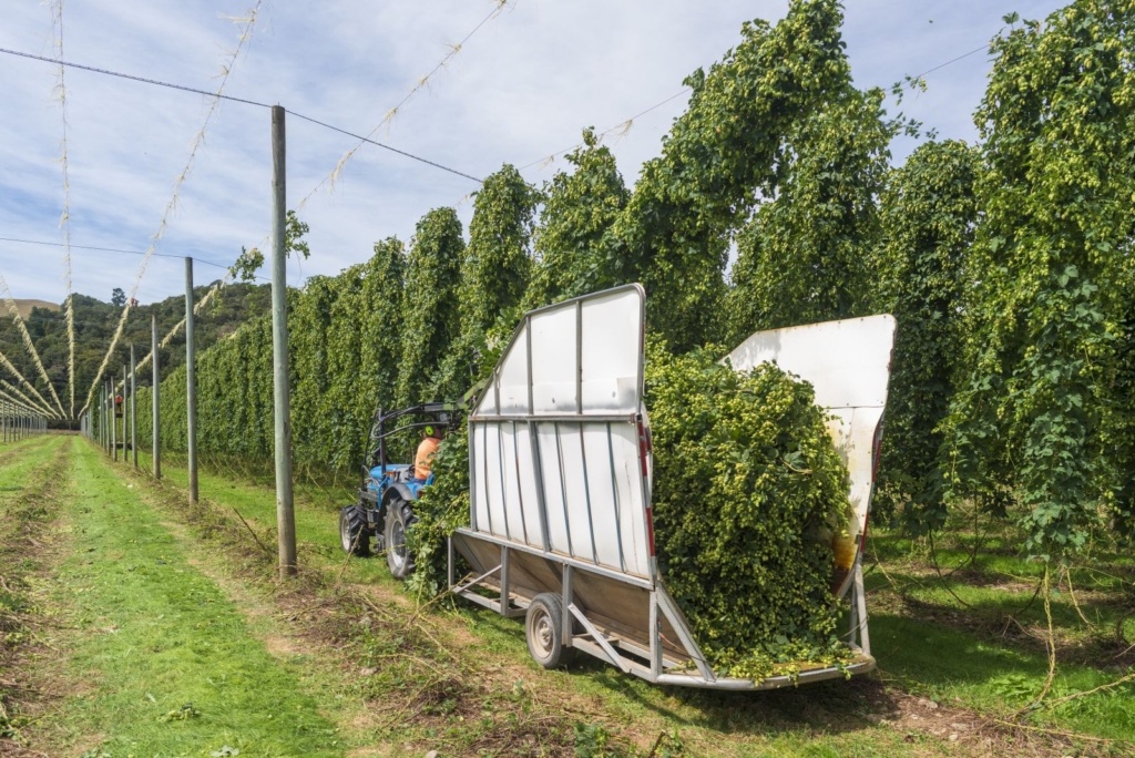 5 Best Things to Do in Wakefield & Tapawera