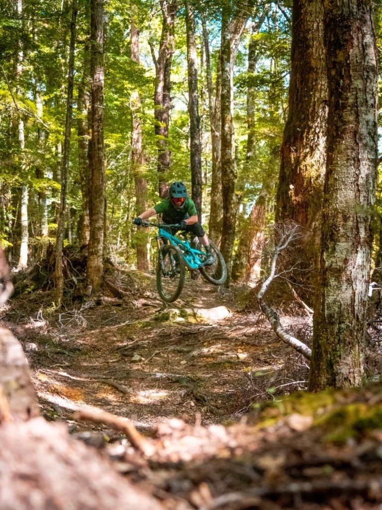5 Best Things to Do in Wakefield & Tapawera