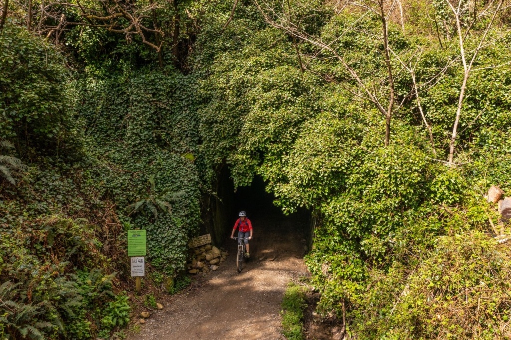 5 Best Things to Do in Wakefield & Tapawera