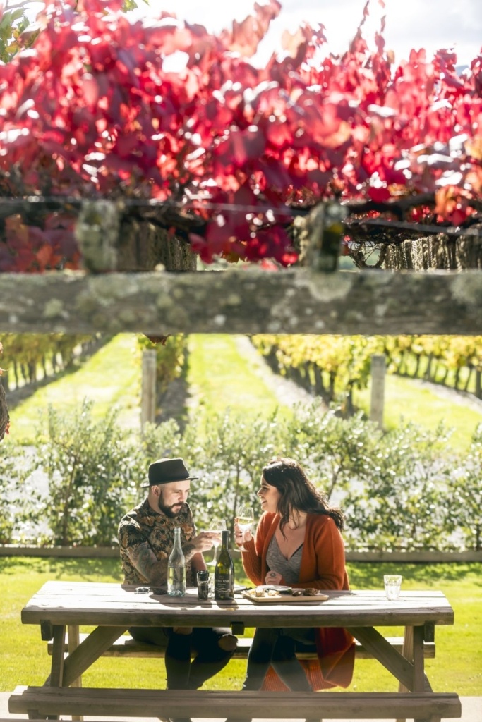 10 Best Wineries in Marlborough