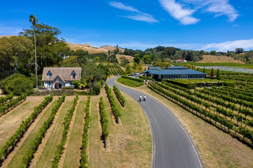 10 Best Wineries in Hawke's Bay