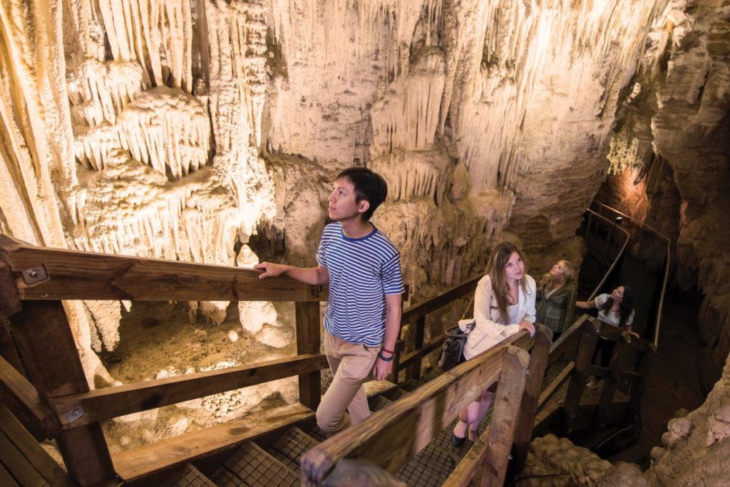 8 Best Waitomo Cave Tours