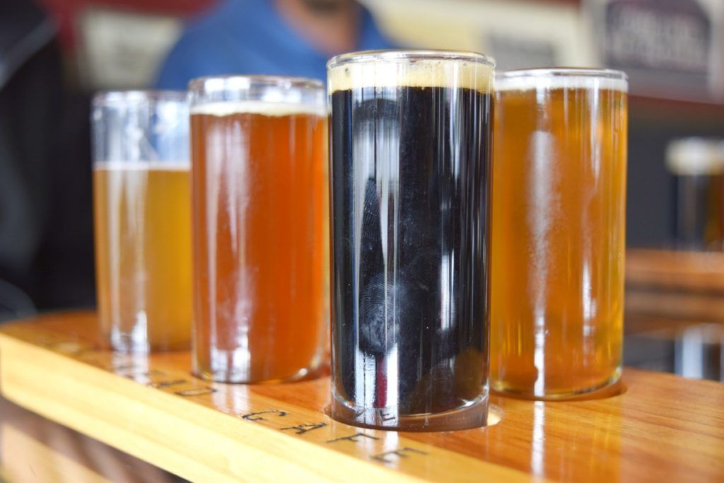 10 Things to Do in Whakatane on a Rainy Day