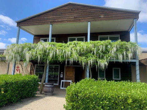 10 Best Wineries in Marlborough