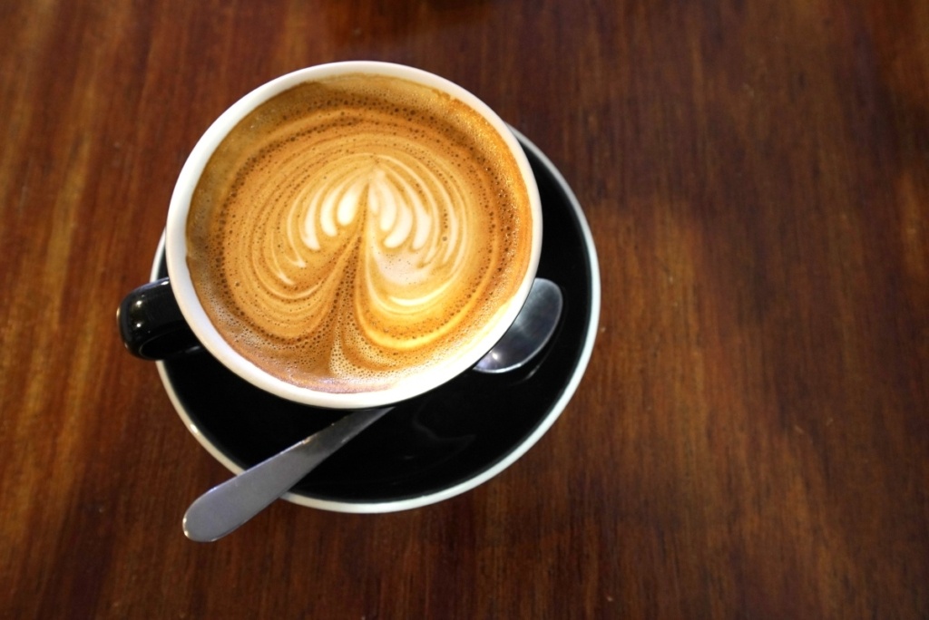 5 Best Things to Do in Morrinsville