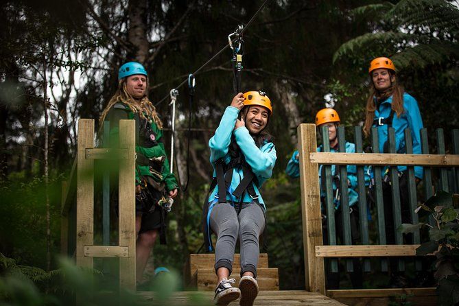 10 Best Things to Do in the Coromandel