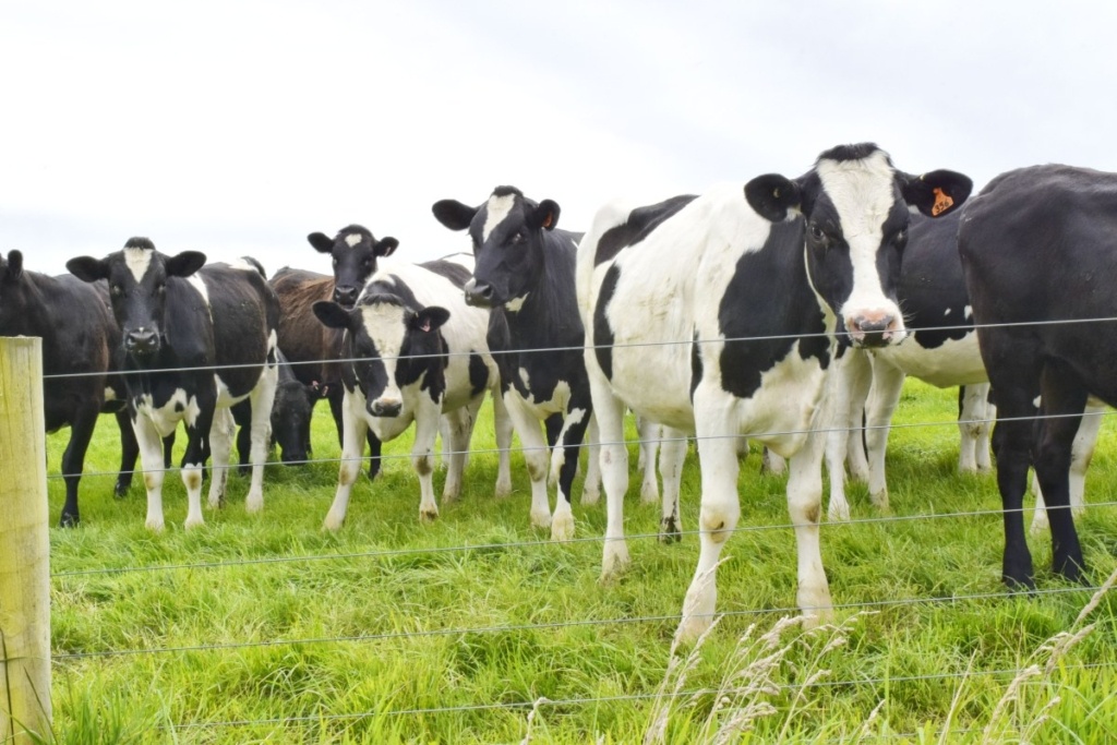 10 Best Things to Do in Cambridge