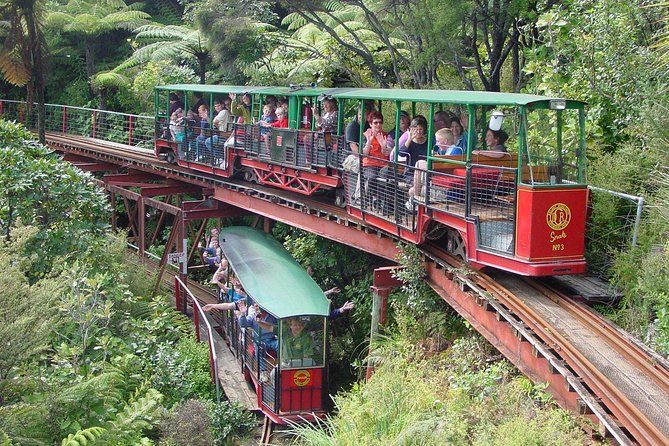 10 Things to Do in the Coromandel with Kids