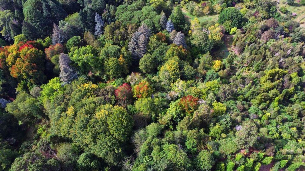 10 Romantic Activities in Hamilton for Couples