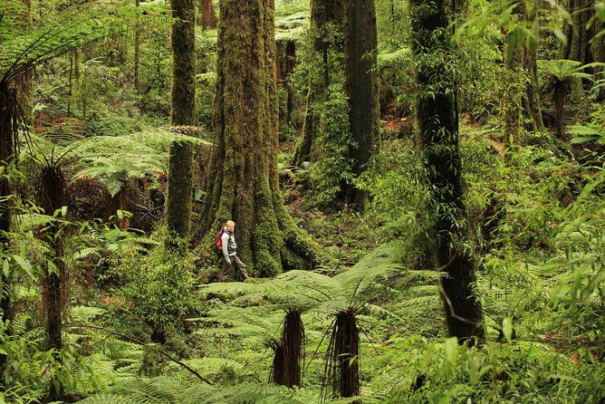 10 Luxury Activities in Rotorua