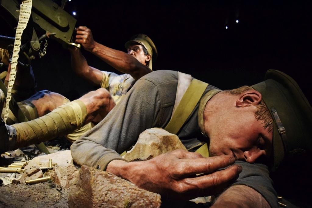 10 Reasons Why The Te Papa Museum is Simply Unmissable