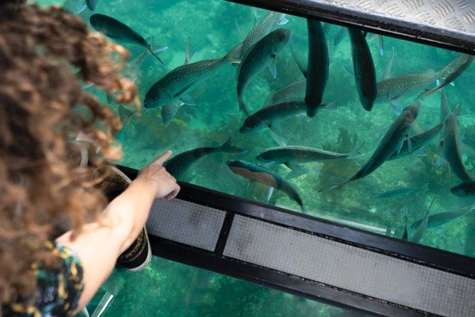 The Guide to the Coromandel for Families