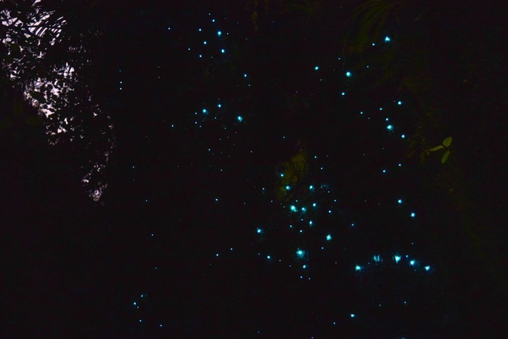 10 Romantic Activities in Tauranga for Couples