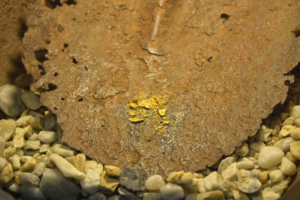 10 Free & Cheap Things to Do in the Coromandel