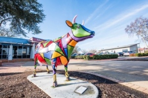 5 Best Things to Do in Morrinsville