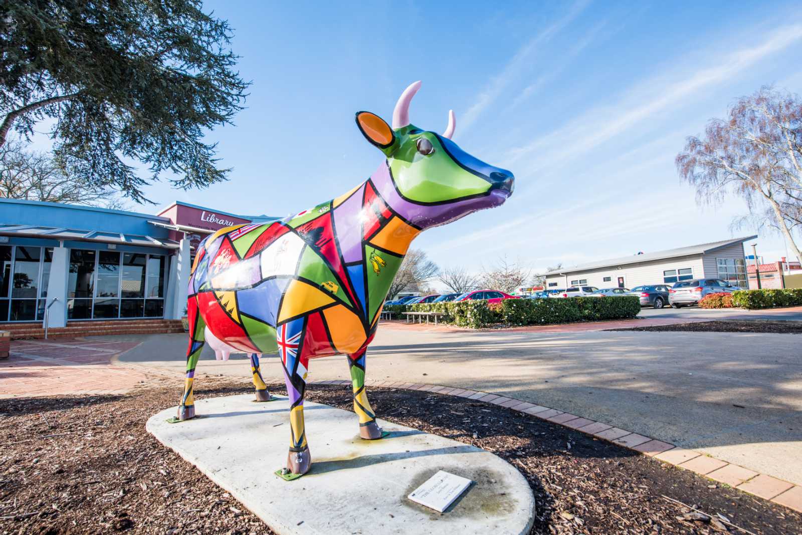 5 Best Things to Do in Morrinsville