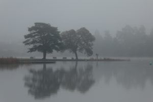 10 Things to Do in Hamilton on a Rainy Day