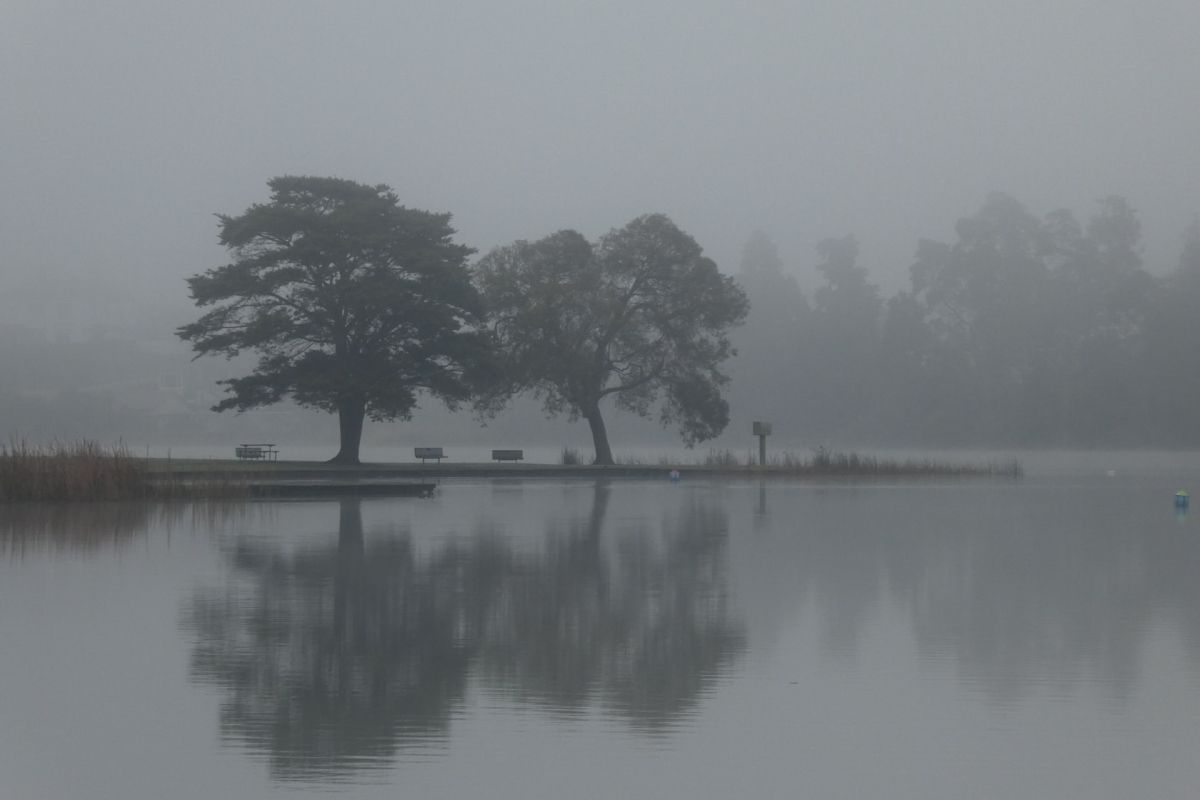 10 Things to Do in Hamilton on a Rainy Day