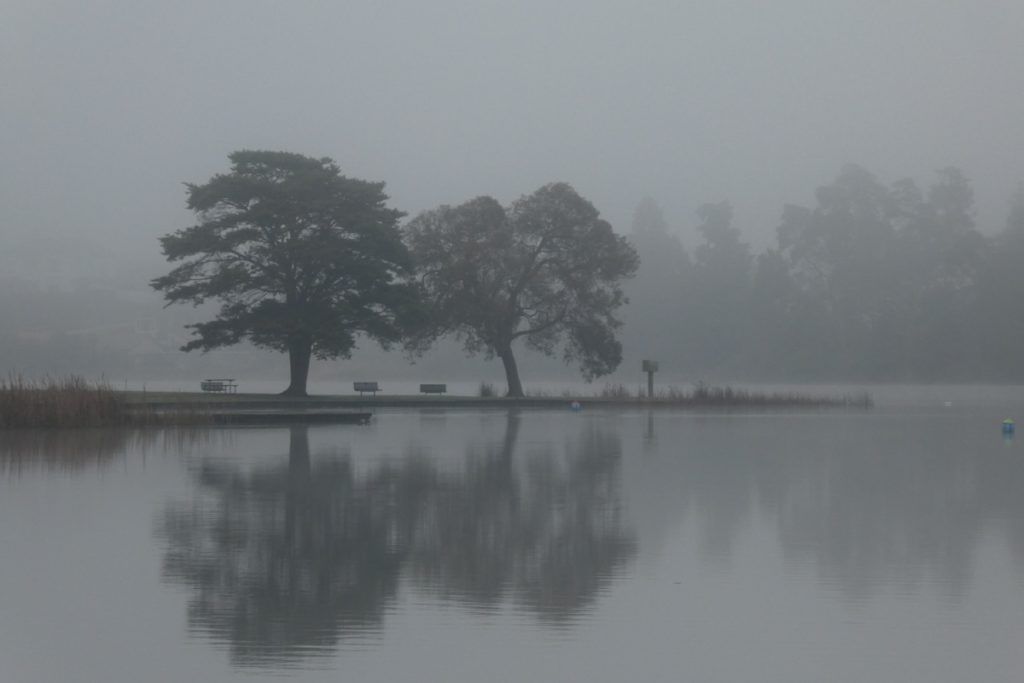 10 Romantic Activities in Hamilton for Couples