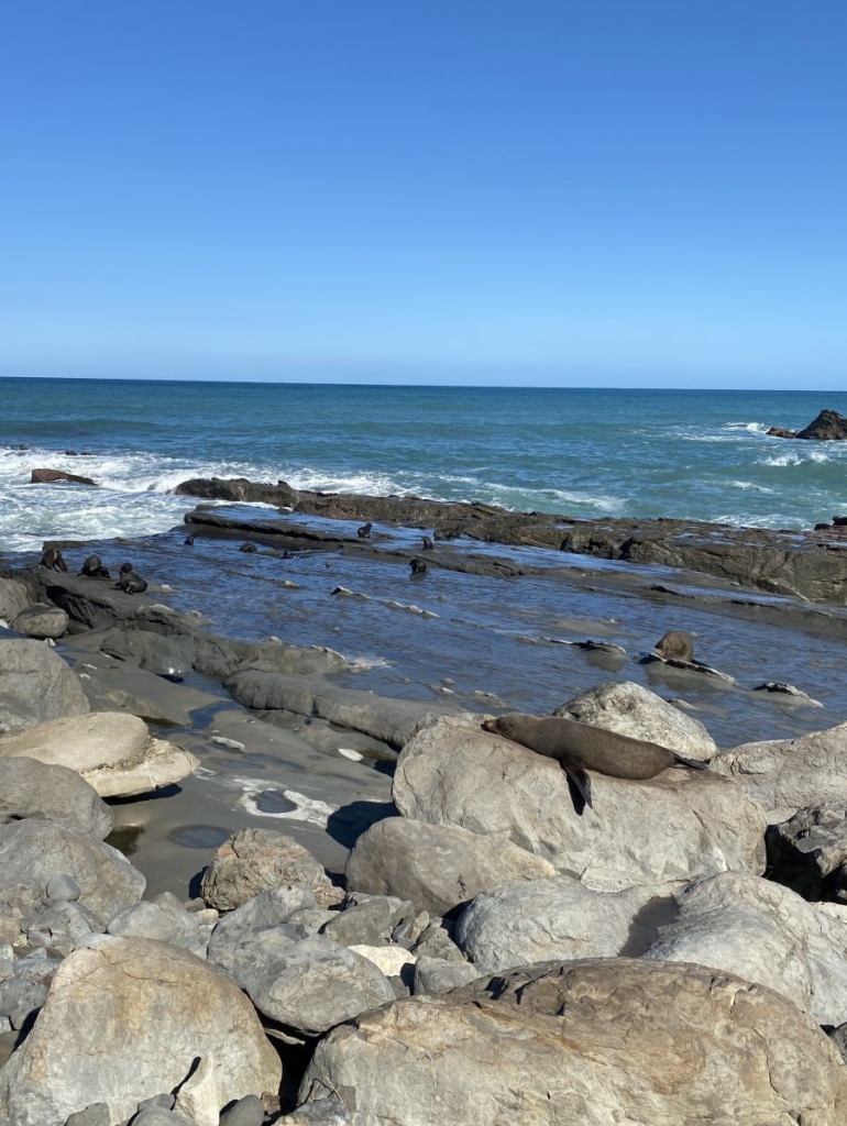 6 Best Spots to Experience Wellington Wildlife