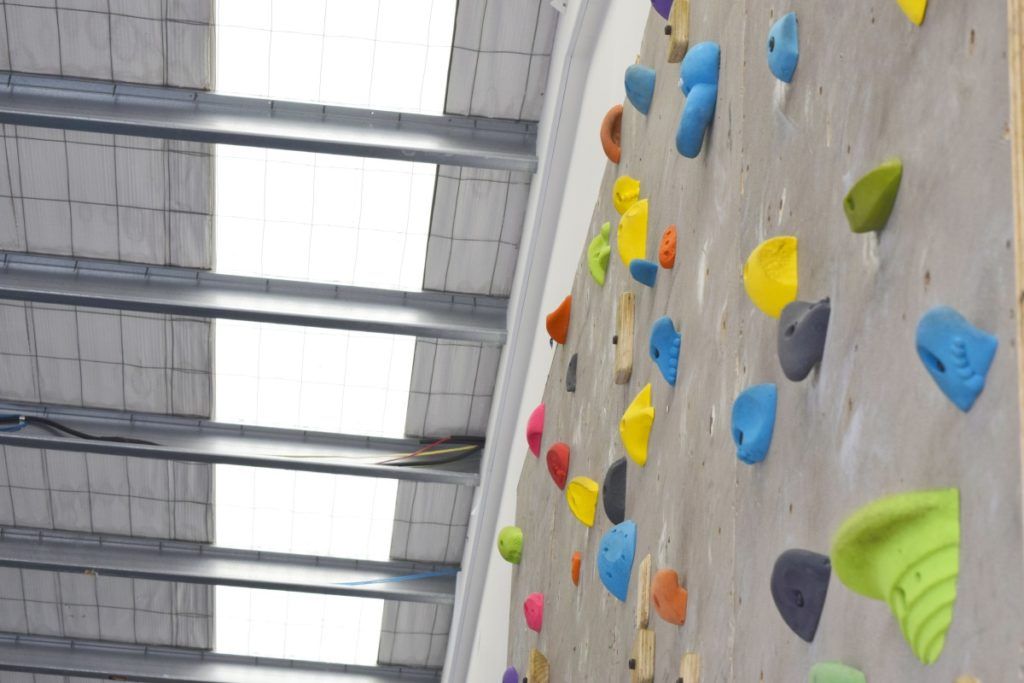 10 Things to Do in Tauranga with Kids