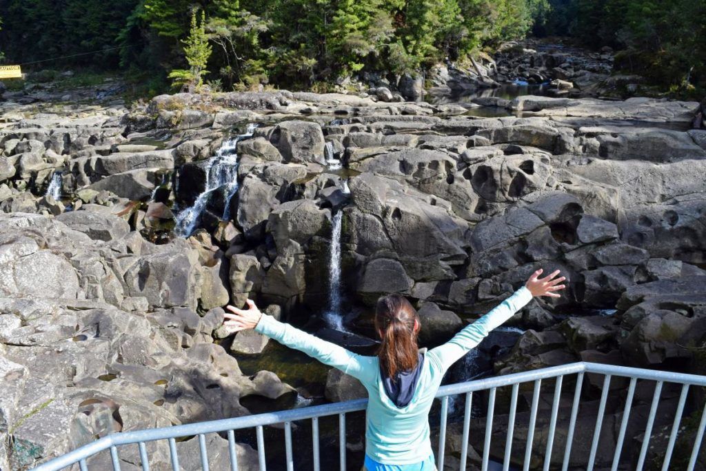 10 Things to Do in Tauranga with Kids