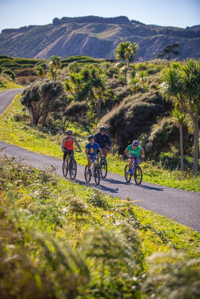 Mountain Biking in Wellington