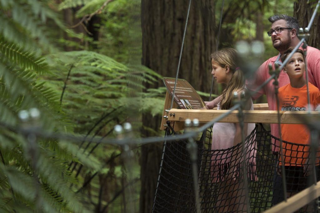 10 Things to Do in Rotorua with Kids