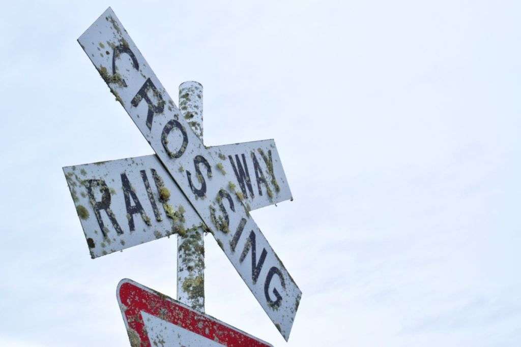 10 Things to Do in Whakatane on a Rainy Day