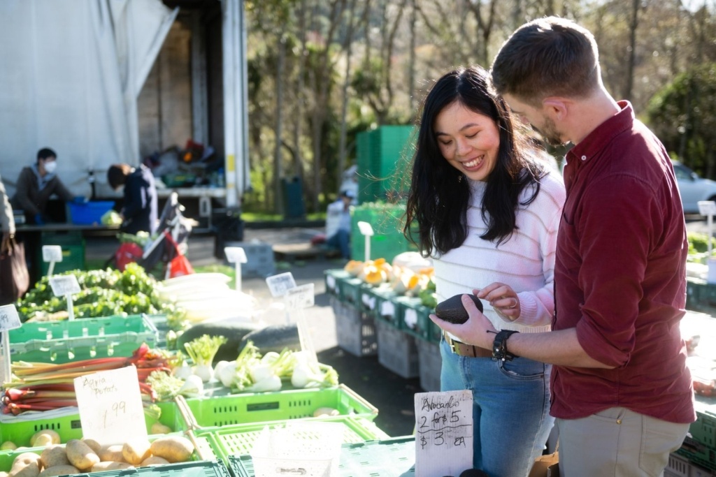 10 Best Things to Do in Lower Hutt
