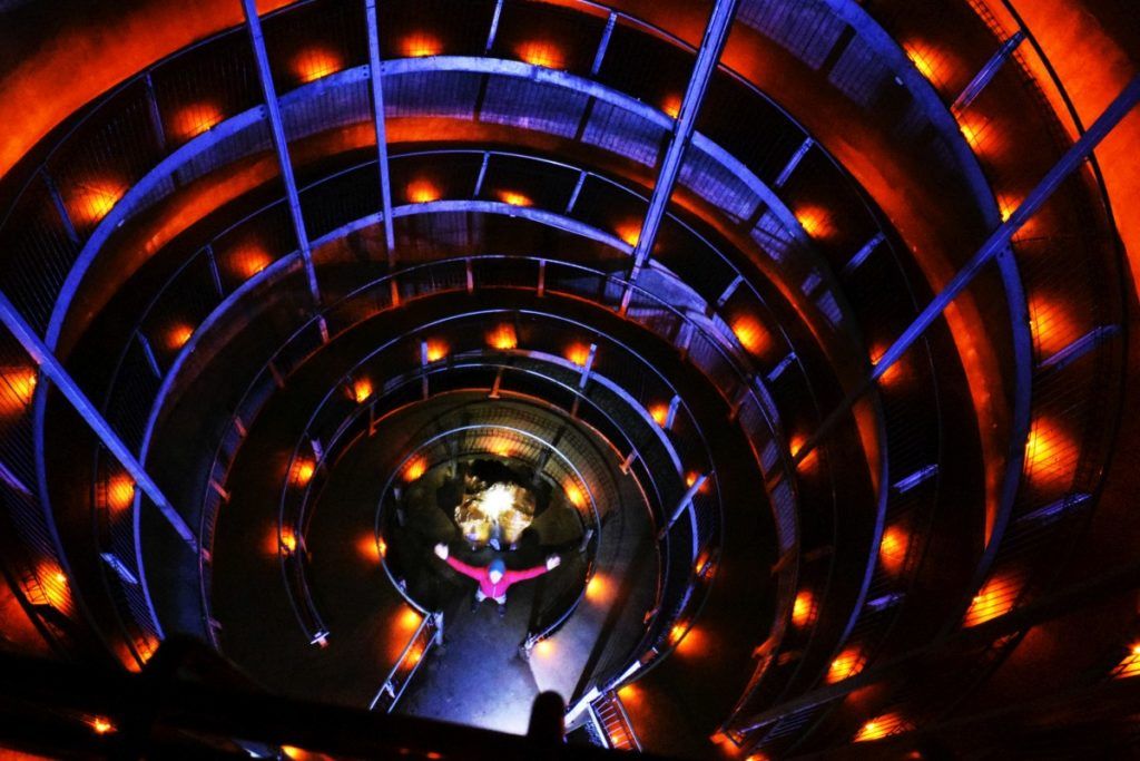 8 Best Waitomo Cave Tours