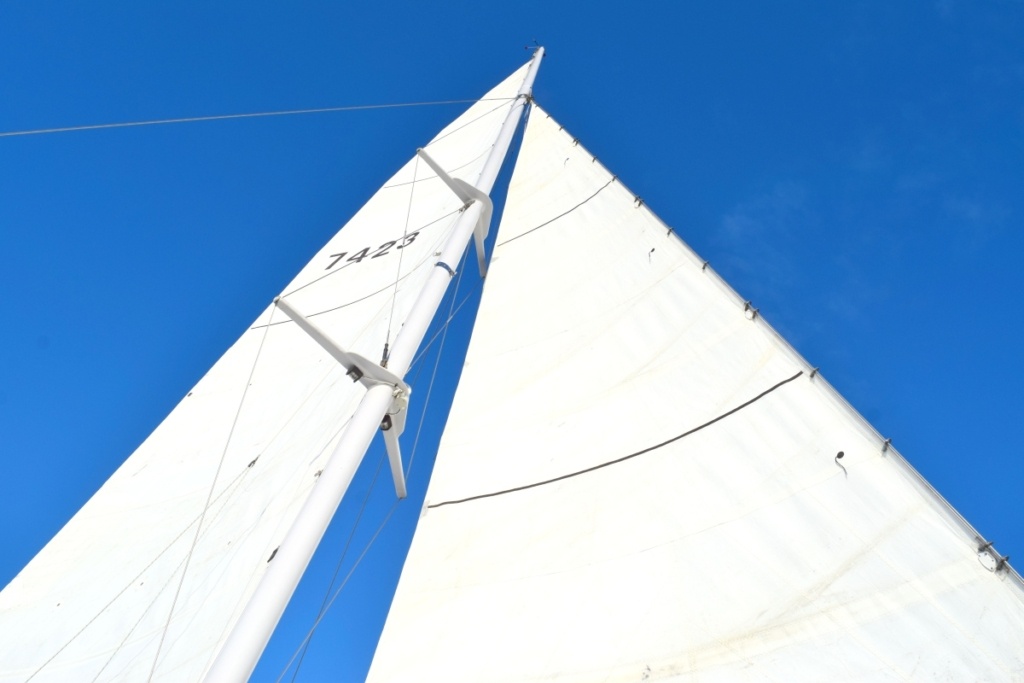 10 Best Things to Do in Whitianga