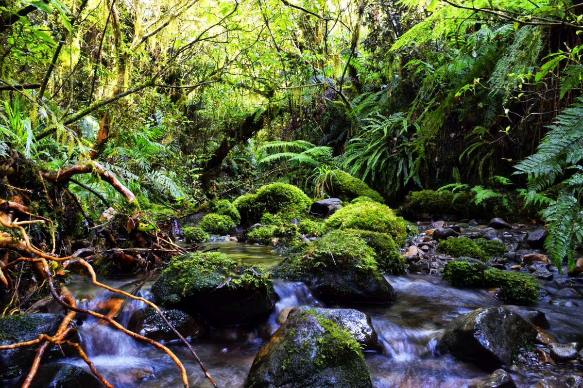 7 Luxury Activities in New Plymouth