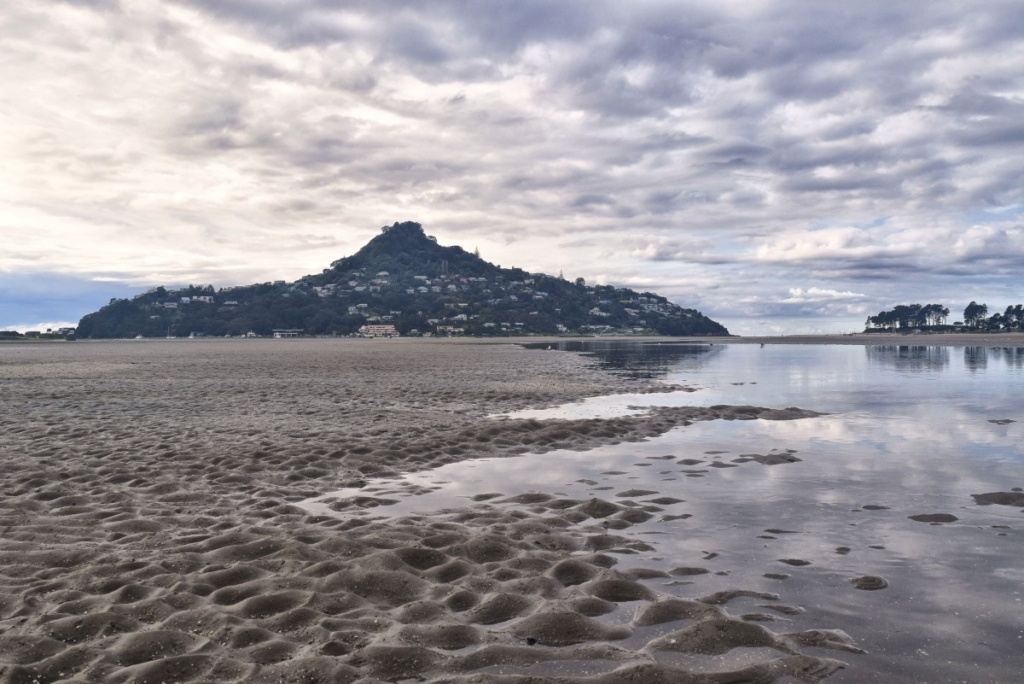 10 Coromandel Beaches You Can't Miss