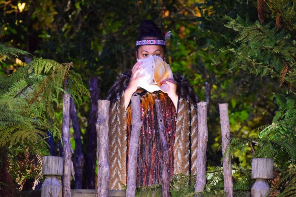 10 Things to Do in Rotorua with Kids