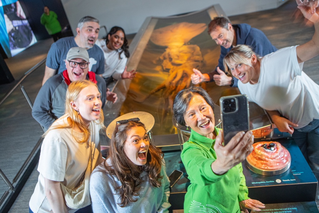 10 Reasons Why The Te Papa Museum is Simply Unmissable